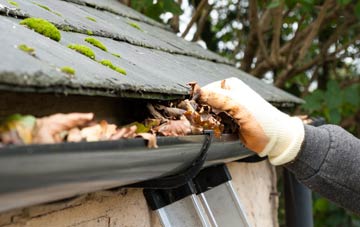 gutter cleaning Ladywell