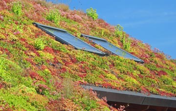 Ladywell living roof systems