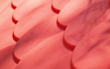 Ladywell plastic roof costs